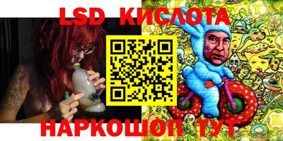 стаф Абакан