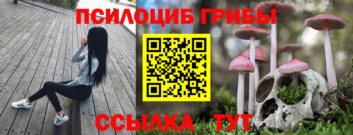 Куйбышев  Псилоцибиновые грибы MAGIC MUSHROOMS  Вход с VPN 