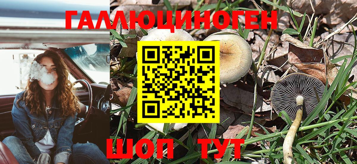 Галлюциногенные грибы MAGIC MUSHROOMS Куйбышев